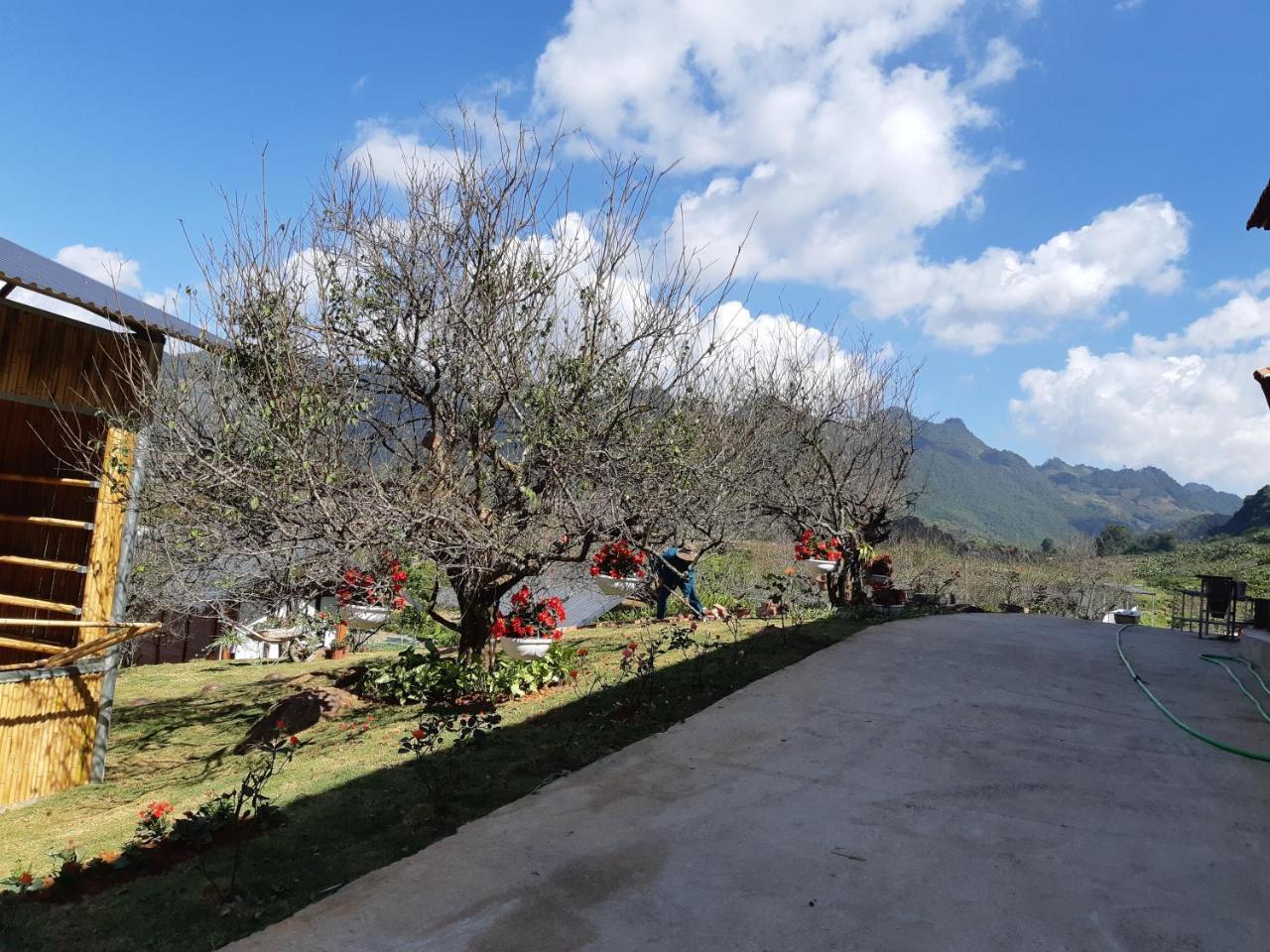 Eco House Moc Chau Bed & Breakfast Екстериор снимка