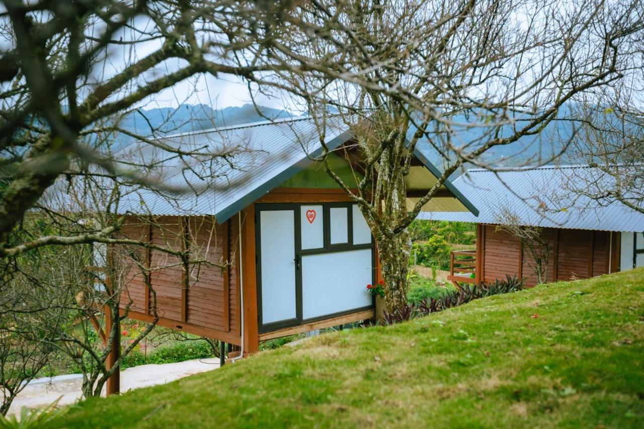 Eco House Moc Chau Bed & Breakfast Екстериор снимка