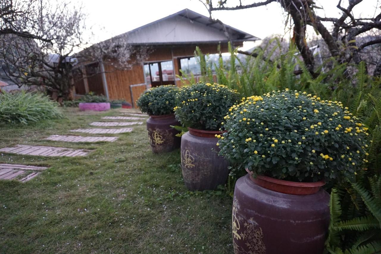 Eco House Moc Chau Bed & Breakfast Екстериор снимка